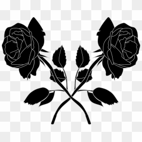 2 Black Roses Png, Transparent Png - black rose png