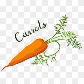 Clip Art, HD Png Download - carrots png