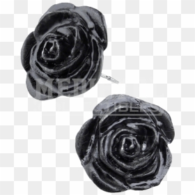 Black Rose Stud Earrings - Black Rose Earrings, HD Png Download - black rose png
