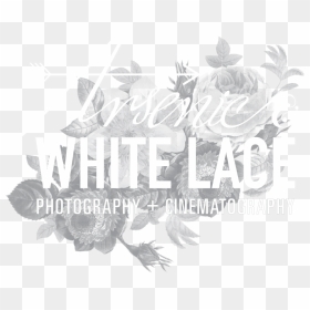 Thumb Image - Love Photography, HD Png Download - white lace png