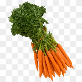 Carrots Png Bunch - Picked Vegetables Png, Transparent Png - carrots png