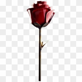 Rose Fire Flower Png, Transparent Png - black rose png