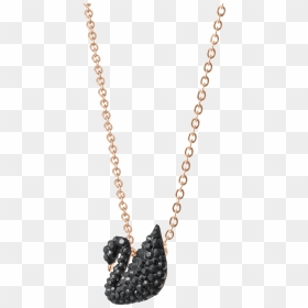 Iconic Swan Pendant, Small, Black, Rose Gold Plated - Rose Gold Tone Necklace Swarovski Black Swan, HD Png Download - black rose png