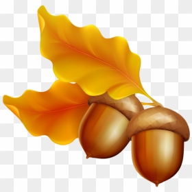 Acorn Png Image - Transparent Background Clip Art Fall, Png Download - acorn png