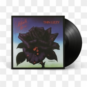Black Rose Thin Lizzy Lp, HD Png Download - black rose png