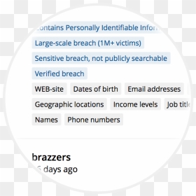 Financial Data Breach Prevention - Veeva Vault Document Types, HD Png Download - brazzers png