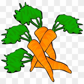 Four Carrots Clipart - Carrots Clipart, HD Png Download - carrots png