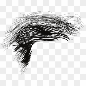 Donald Trump’s Hair - Sketch, HD Png Download - donald trump hair png