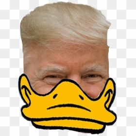 #freetoedit #trump #donald #donald Duck #donald Trump - Duck, HD Png Download - donald trump hair png