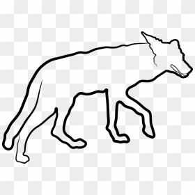 Coyote Drawing Png, Transparent Png - coyote png