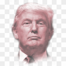 Follow Donald Trump - Stay In Mexico Policy, HD Png Download - donald trump hair png