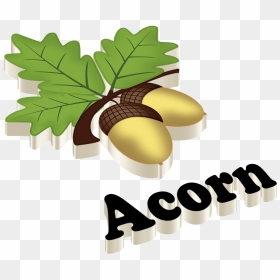 Thumb Image - Roman Reigns Name Logo, HD Png Download - acorn png