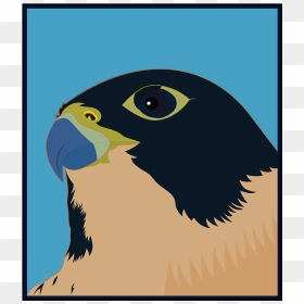 Parrot, HD Png Download - falcon png