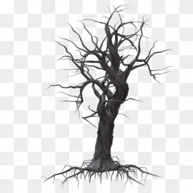 Tree Woody Plant Drawing - Woody Plant, HD Png Download - creepy png