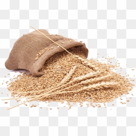 Grain Png Clipart - Whole Wheat Flour Png, Transparent Png - grain png