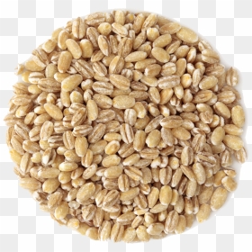 Small Pile Of Grain - Gambar Gandum Utuh Png, Transparent Png - grain png
