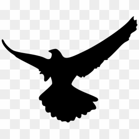Falcon Silhouette Clip Art - Crow Flying Transparent Gif, HD Png Download - falcon png