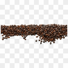 Coffee Grain Png - Transparent Background Coffee Beans Png, Png Download - grain png