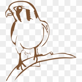 นก เหยี่ยว แดง การ์ตูน, HD Png Download - falcon png
