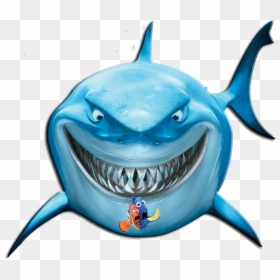 Bruce Finding Nemo Png, Transparent Png - dory png