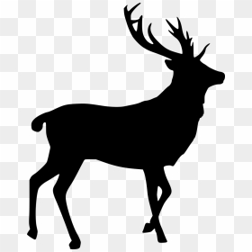 Deer Silhouette , Png Download - Elk Silhouette, Transparent Png - deer silhouette png
