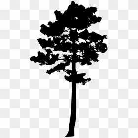 Png Free Clipart Pine Tree Silhouettes, Transparent Png - pine tree silhouette png