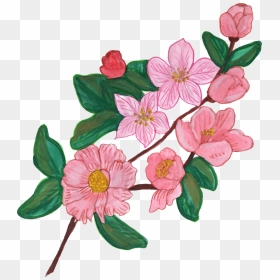 Flowers Images Painted Png, Transparent Png - painting png