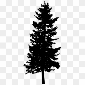 Free Png Pine Tree Silhouette Png Images Transparent - Free Transparent Background Pine Tree Silhouette, Png Download - pine tree silhouette png
