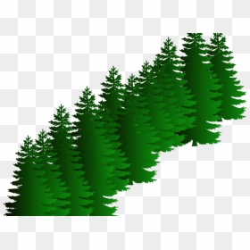 Fir Clipart Evergreen Tree - Soil Microbial Community, HD Png Download - pine tree silhouette png