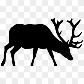 Stag Vector Low Poly - Deer Drinking Water Silhouette, HD Png Download - deer silhouette png