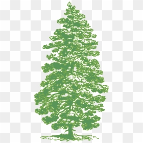 Transparent Tall Pine Tree Silhouette Png - Pine Tree Ink Drawing, Png Download - pine tree silhouette png