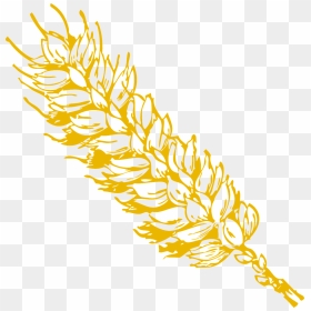 Grain Png, Transparent Png - grain png