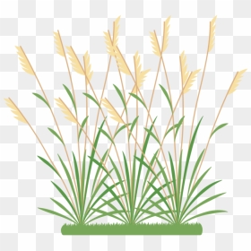 Icon 2 Weeds - Weeds Clipart, HD Png Download - grasses png