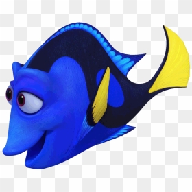 Multibar Angelfish And Three Banded Butterflyfish - Jenny Finding Dory, HD Png Download - dory png