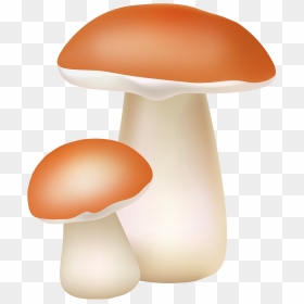 Two Mushrooms Png Cliaprt - Png Transparent Png Mushroom Clipart, Png Download - mushrooms png
