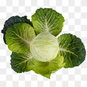 Kale - Vitamin K Png, Transparent Png - kale png