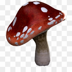 Fly Agaric, Mushrooms, Fantasy, Digital Art, Isolated - Mushroom Red Png, Transparent Png - mushrooms png