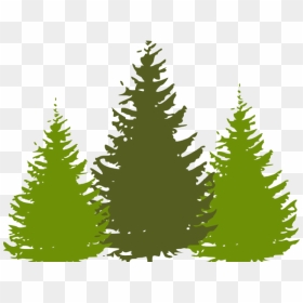 Redwood Tree Cliparts - Green Pine Tree Silhouette Clipart, HD Png Download - pine tree silhouette png