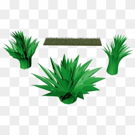 Grass, HD Png Download - grasses png