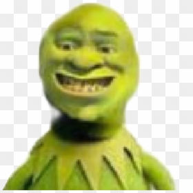 Shrek Funny, HD Png Download - shrek face png