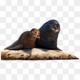 Transparent Sea Lion Png - Seal From Finding Dory, Png Download - dory png