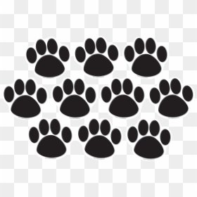 Tcr4277 Black Paw Prints Accents Image - Color Paw Png, Transparent Png - paw prints png