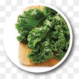 Health Benefits Of Kale , Png Download - Kale Diet, Transparent Png - kale png