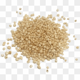 Cereal Germ Whole Grain Sorghum - Whole Grain, HD Png Download - grain png