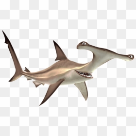 Finding Nemo Anchor The Shark - Anchor Finding Nemo, HD Png Download - nemo png