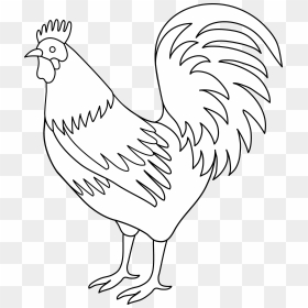 Rooster Coloring Page Image Png Clipart - Drawing Rooster Black And White, Transparent Png - rooster png