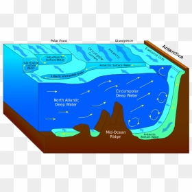 Antarctic Bottom Water - Ocean Currents Antarctica, HD Png Download - ocean water png