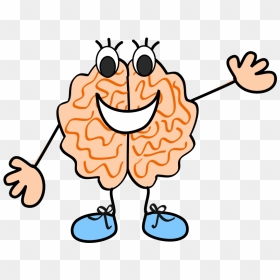 Brains Clipart For Kid Png - Brain Clipart Transparent Background, Png Download - brain clipart png