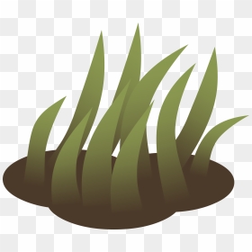 Grasses Lawn Landscape Design Computer Icons Vetiver - Portable Network Graphics, HD Png Download - grasses png