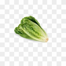 Romaine Lettuce Png Download Image - Romaine Lettuce, Transparent Png - lettuce png